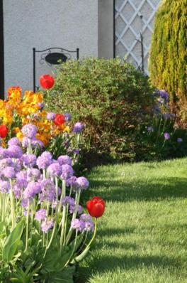 Ken-Mar House Bed And Breakfast Ballymoney Extérieur photo